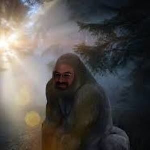 Meet your Posher, Jerrod